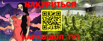 mdpv Гатчина