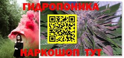 бошки Гагарин